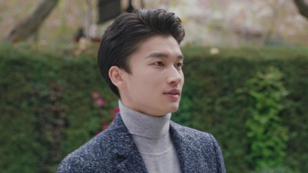 玫瑰骑士 23集