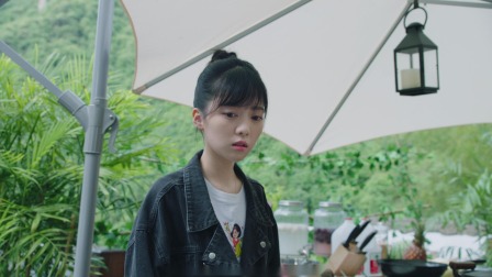 犹如故人来 12集