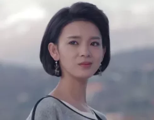 致青春 30集