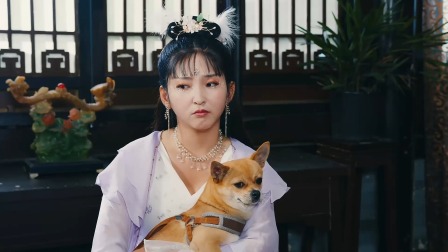 妃要出嫁 9集