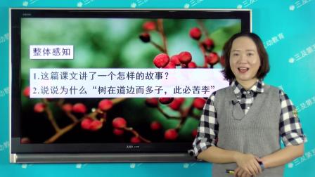 部编版语文 四年级上册 语文精讲 99集