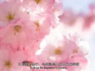 少年的第一堂自然课 16集