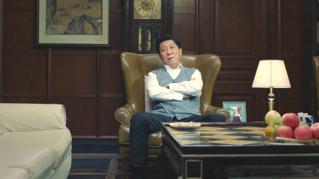 巡回检察组 DVD版 27集