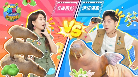 蕃尼看世界之奇遇冒险 13集