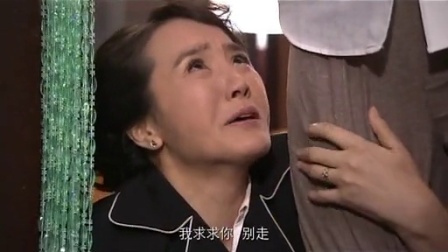 真情错爱 31集