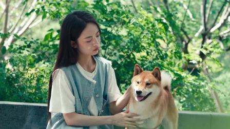 拾美记 7集