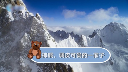 动物宝宝历险记 6集