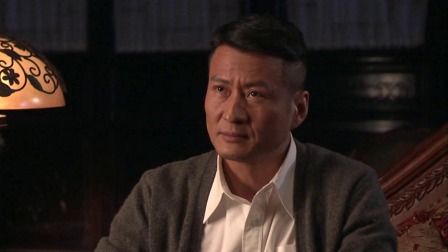 黎明前的暗战 13集