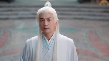 护心 33集