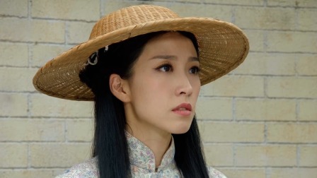 铁拳英雄 29集