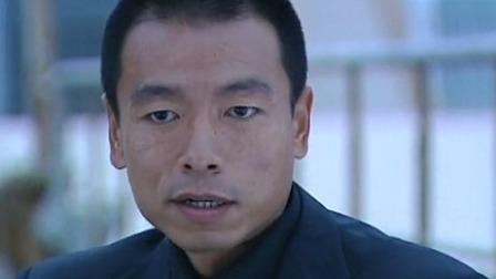 追查到底 24集
