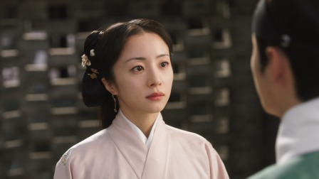 锦囊妙录 29集