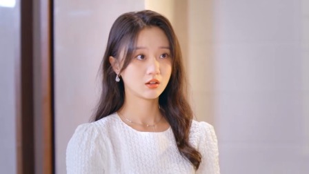 只是未婚夫的关系 24集