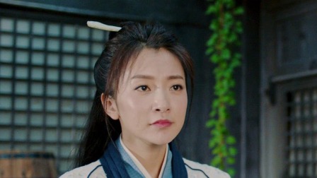 不二女县令 29集