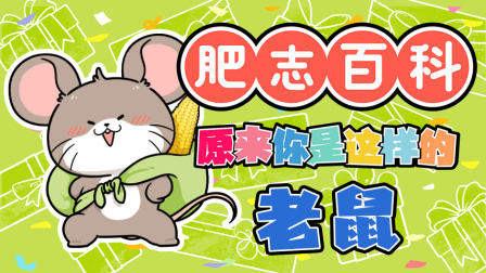 肥志百科 第13季 9集