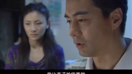 复婚 20集