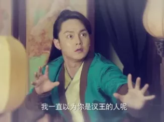 极品家丁 弹幕版 28集
