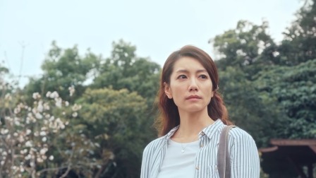 做工的人 6集