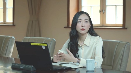巡回检察组 DVD版 8集