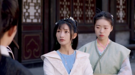 太子殿下的公主缘 20集