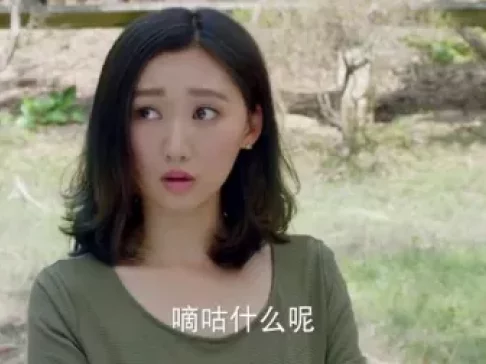 神犬小七 第二季 41集