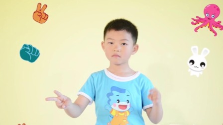 小手动动动 17集