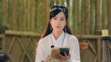 龙女情劫 33集