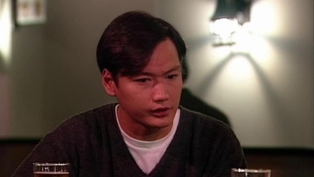 刑事侦缉档案 第一部 5集