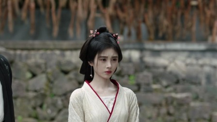 花间令 20集