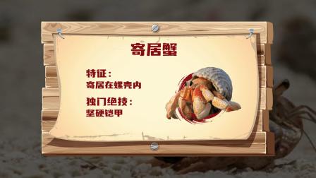 小动物的武林大会 5集