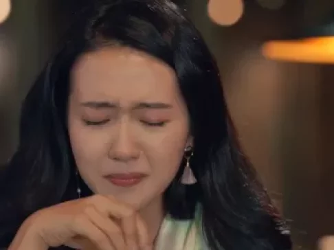 归去来 11集