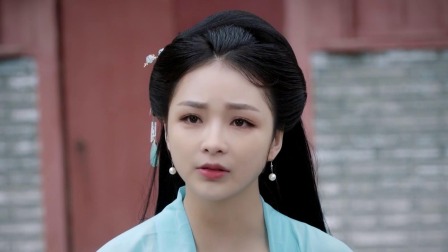 落难王妃 10集