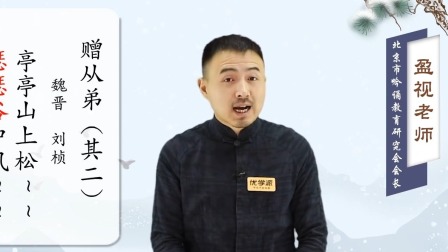 盈视讲诗词（研究生导师） 73集