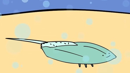 重生动物世界 8集