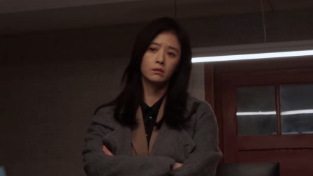 以法之名 25集
