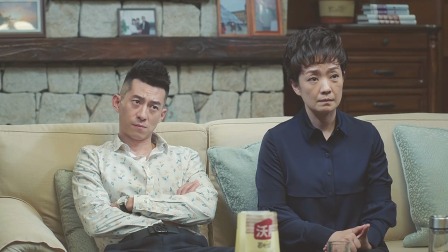 巡回检察组 DVD版 15集