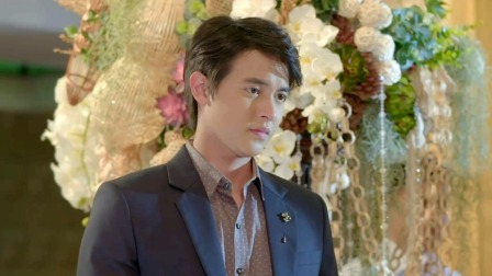 天鹅套索 TV版 35集
