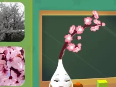 田小艾幼儿识字：花朵篇 13集