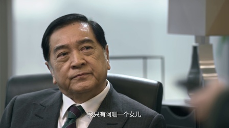 蚀日风暴 24集