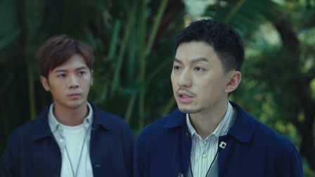 法证先锋V 6集