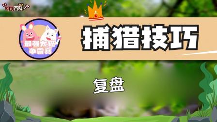 可可百科365：最强大猫争霸赛 3集