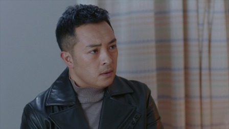 雾中系铃人 24集