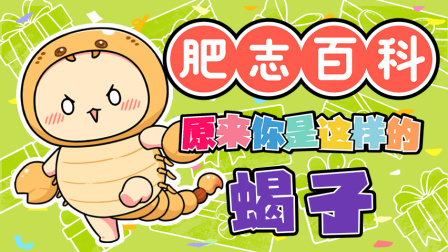肥志百科 第13季 1集