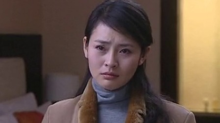 婚姻背后 12集