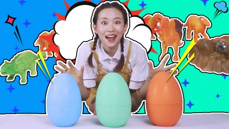 颜色益趣园第十八季 14集