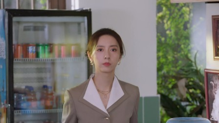 大厨小婿 16集