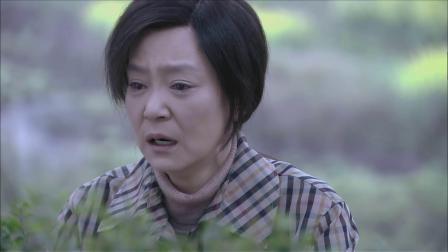 十指连心 19集