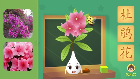 田小艾幼儿识字：花朵篇 41集