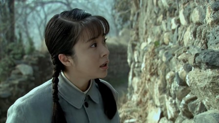 锄奸 24集