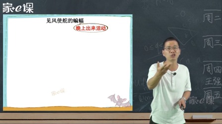 编童话故事（三四五年级语文通用） 18集